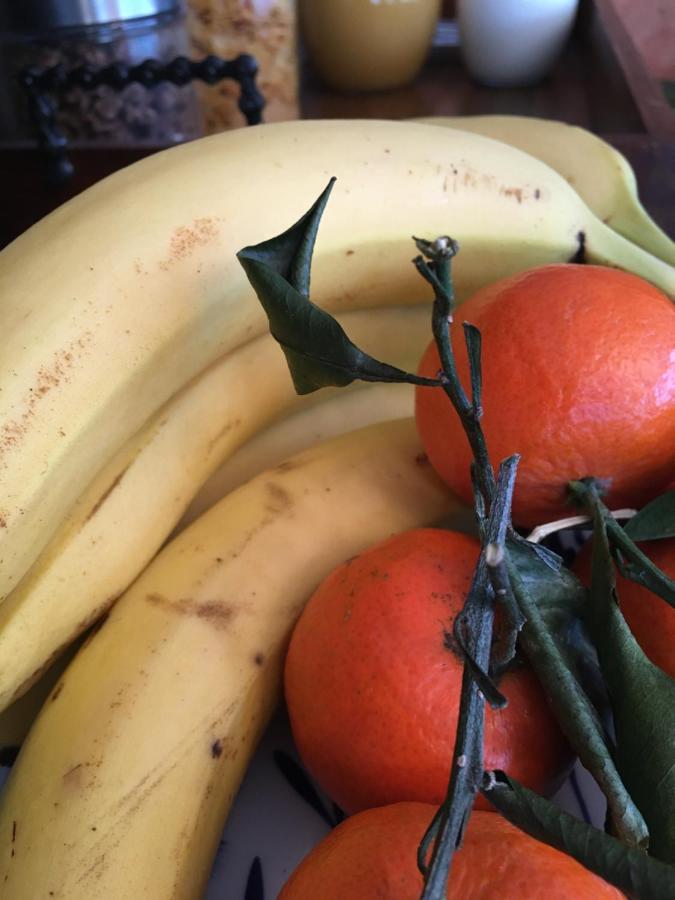 温格里奇膳食公寓 埃尔福特 外观 照片